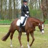 Reitertag 2026 April